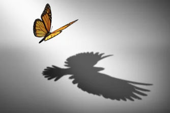 Was ich in 20 Jahren gelernt habe