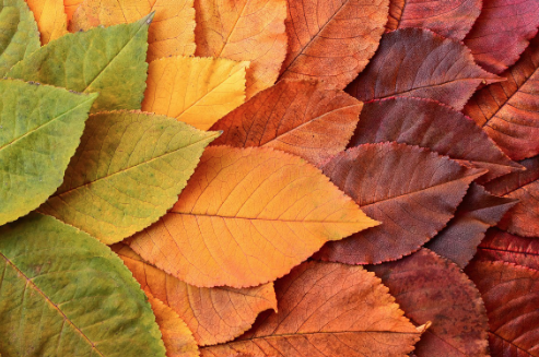 Energetische Prozessbegleitung